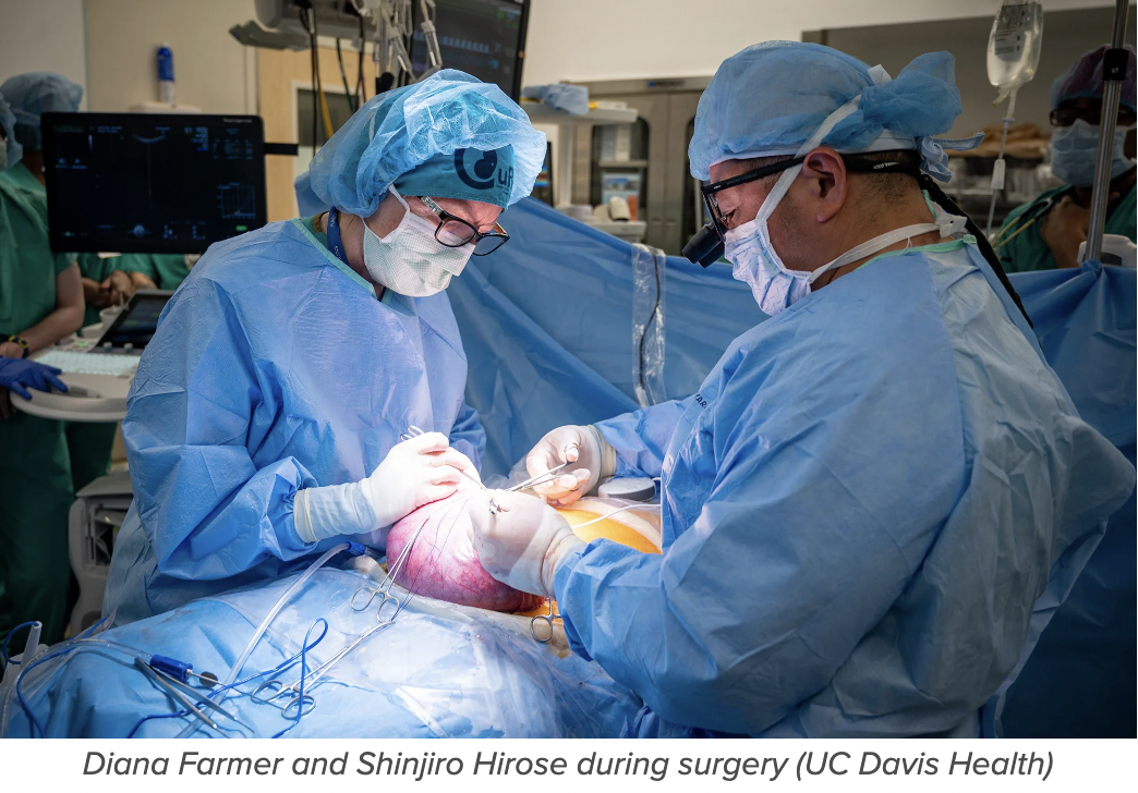 Farmer and Hirose durning surgery