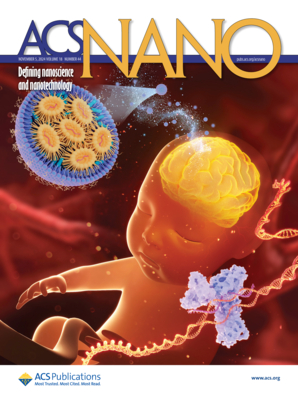 ACS Nano