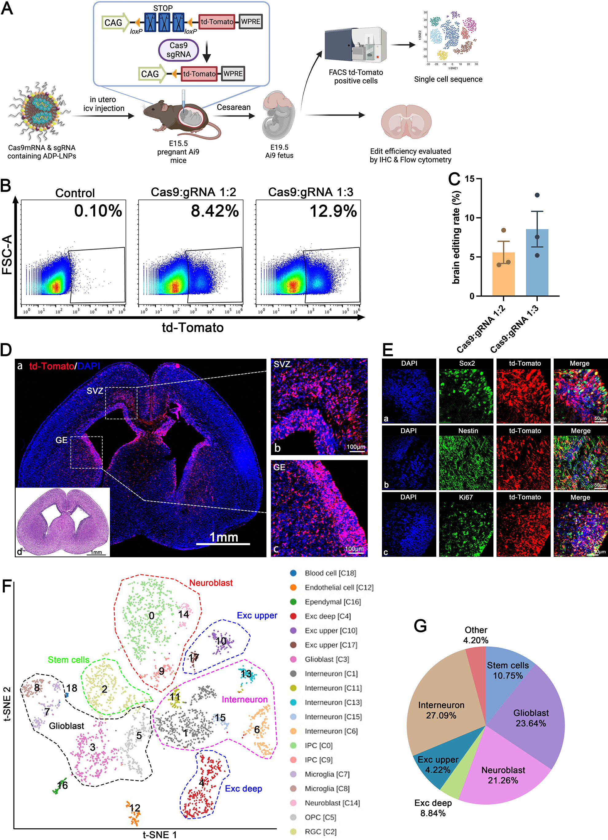ACS Nano Cas9
